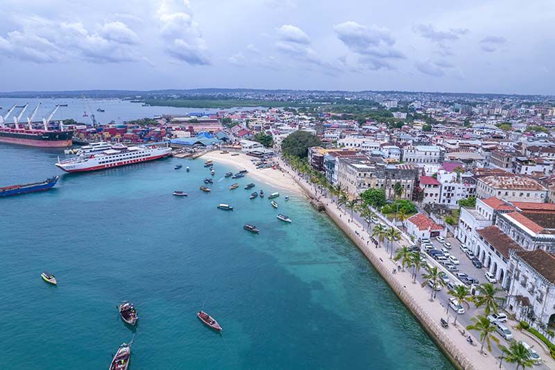 Go wild in Eastern Tanzania (Zanzibar)