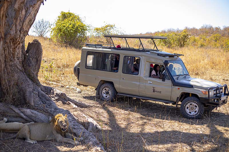 Special Packages & Tailor-Made Tours