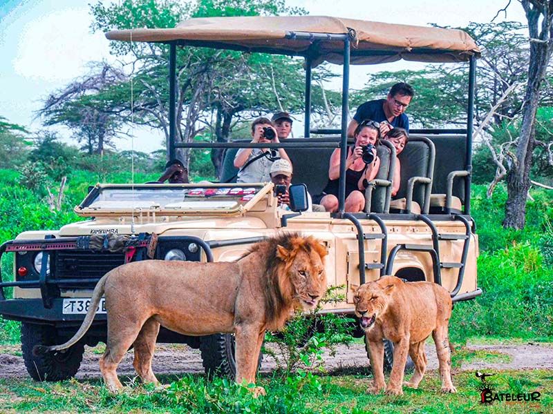 Go wild in Southern Tanzania