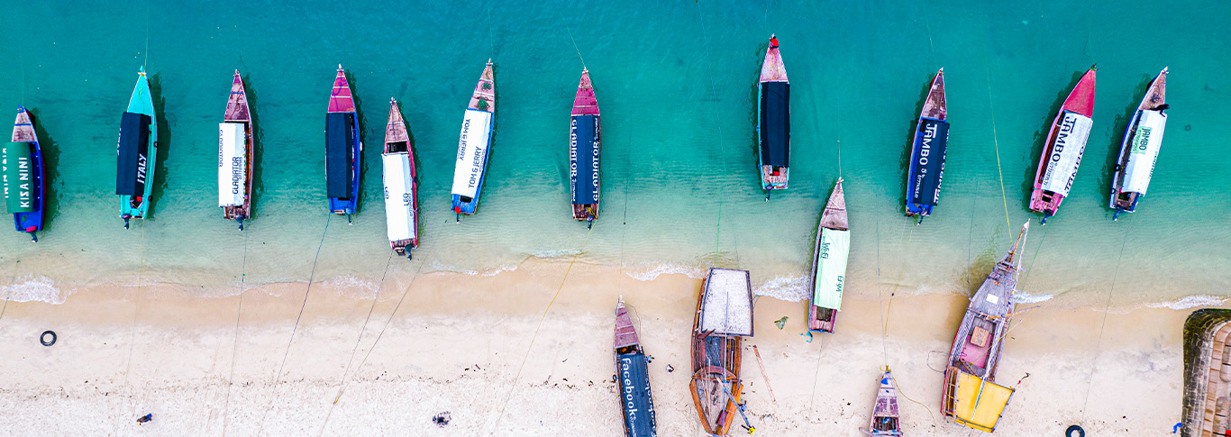 Eastern Tanzania Safari