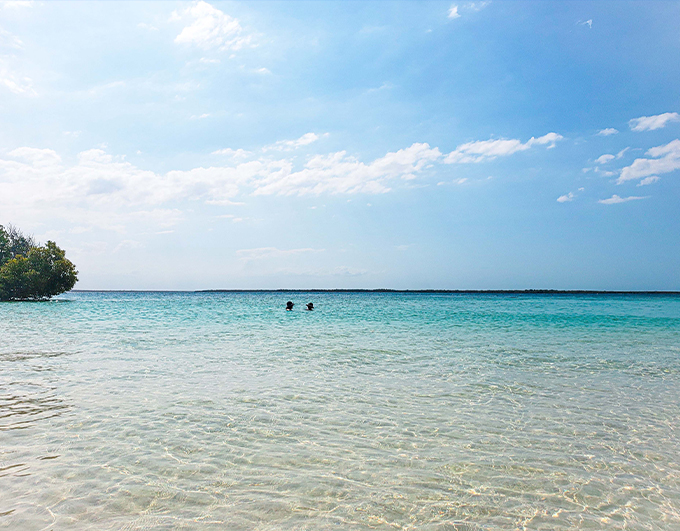 Pemba Ras Mkumbuu Tour