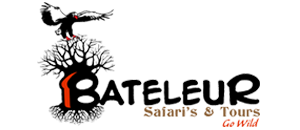 Bateleur Safaris & Tours