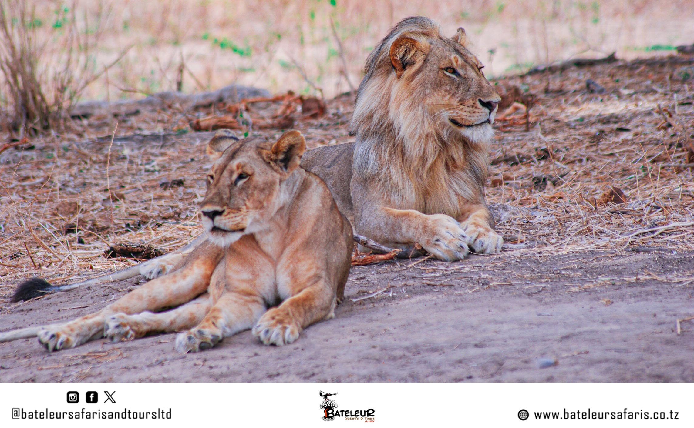 2 DAYS SPECIAL SAFARI PACKAGE TO RUAHA   