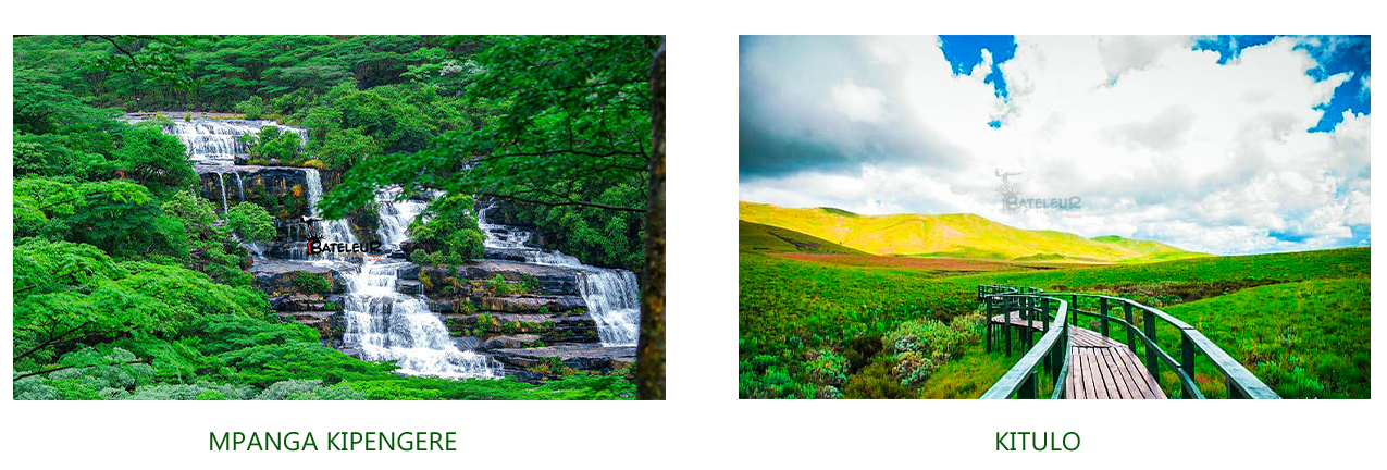 5 DAYS SPECIAL SAFARI PACKAGE TO MPANGA KIPENGERE, KITULO NATIONAL PARK AND MATEMA BEACH