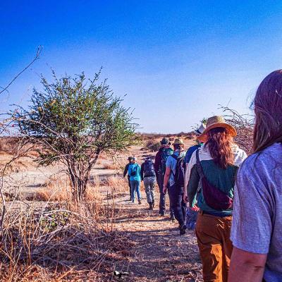 Walking Through Ruaha National Park Attraction With Bateleur Safaris Letsgowild Walkingsafariline